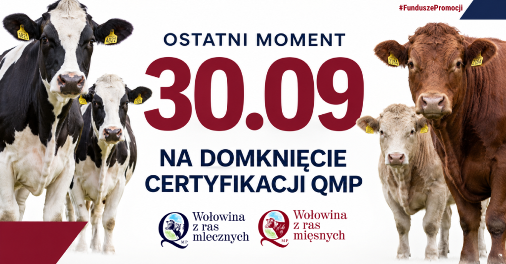 <strong>Certyfikat QMP — termin uzyskania upływa 30 września 2026 r.</strong> <strong>Certyfikat QMP — termin uzyskania upływa 30 września 2026 r.</strong>